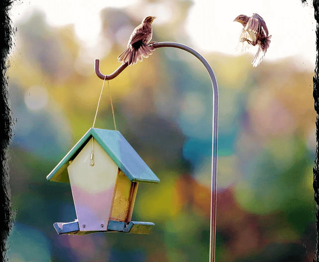 Welcome New Neighbors